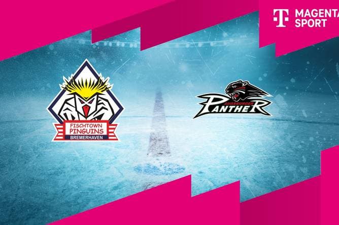 Pinguins Bremerhaven - Augsburger Panther (Highlights)