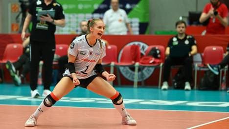 Nestler bleibt in Dresden
