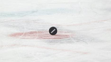 Radikaler Umbruch: Neun Abgänge bei den Straubing Tigers