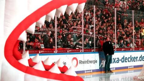 Können die Fans der Kölner Haie ihre Mannschaft bald wieder live anfeuern?