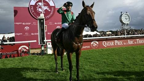 Triumph für Daryz und Mickaël Barzalona