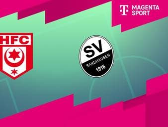 Hallescher FC - SV Sandhausen: Tore und Highlights | 3. Liga