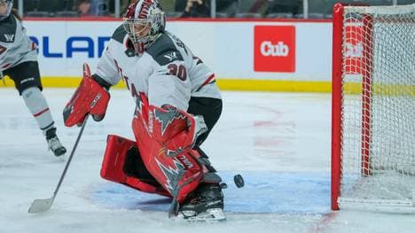 In Ottawa im Tor: Nationalspielerin Sandra Abstreiter