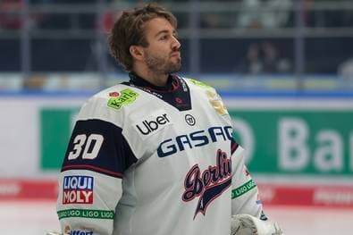 DEL: Zwei Meister für Mannheim