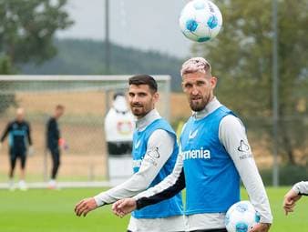 Bayer noch nicht meisterlich