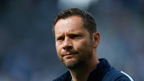 Pal Dardai sorgt bei Hertha BSC für den sportlichen Erfolg