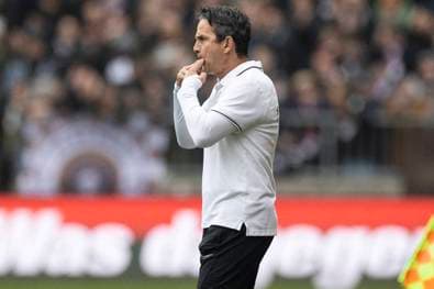 Eine deutsche Erfolgsgeschichte in Georgien