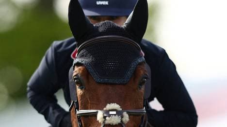 Justiz ermittelt gegen den Reitverband FN