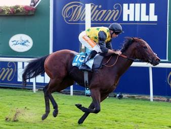 Tyson Fury erobert die Galopprennbahn