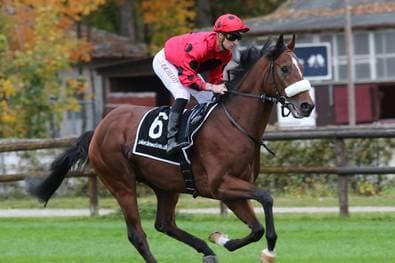 Last-Minute-Quali! Deutsche Hoffnung holt Melbourne-Startplatz