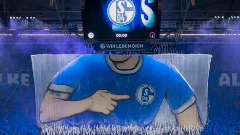 Schalke 04 winkt ein Geldregen