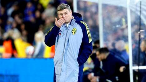 Jon Dahl Tomasson ist nicht länger Schweden-Trainer