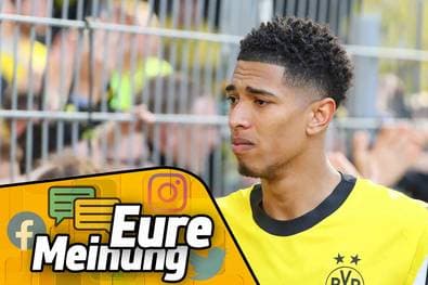 "Er wird dort untergehen"