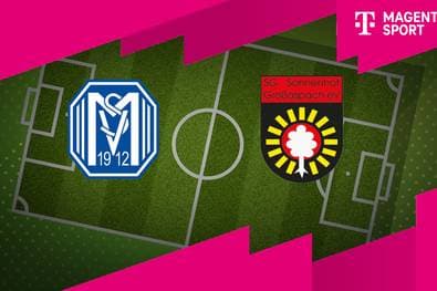 SV Meppen - Sonnenhof Großaspach (Highlights)
