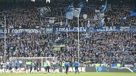 Arminia Bielefeld und seine Fans stärken Waldschutz