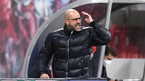 Peter Bosz und Bayer Leverkusen mussten zuletzt mehrere Rückschläge hinnehmen