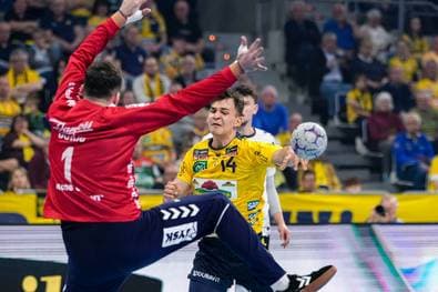 Flensburg ringt die Löwen nieder