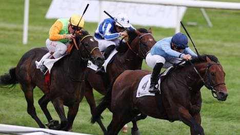 Namos triumphiert in der Goldenen Peitsche