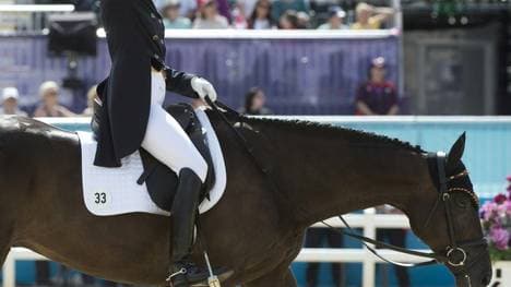 Ingrid Klimke und Franziskus können nicht antreten