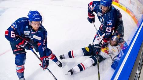 Die Adler Mannheim sind amtierender Meister in der DEL