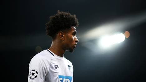 FC Shakhtar Donetsk v TSG 1899 Hoffenheim - UEFA Champions League Group F