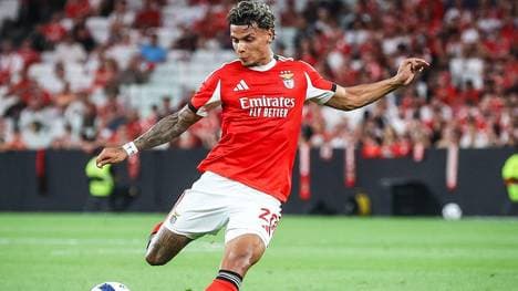 Richard RIOS (Benfica) im Champions League Fieber 