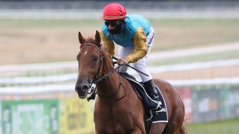 Diakrid gilt als große Nachwuchshoffnung