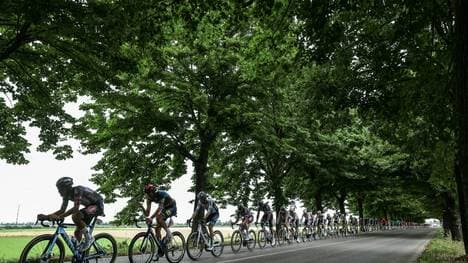 Die Tour führt das Feld nach Dijon
