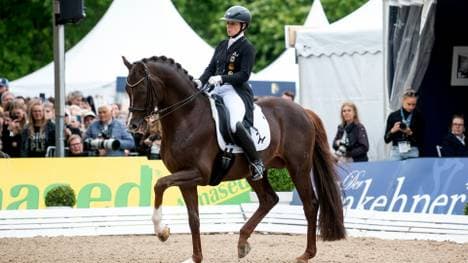 Werth und Viva Gold überzeugen auf dem Viereck
