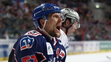 Die Adler Mannheim kämpfen um den Gruppensieg in der CHL