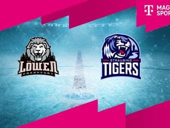 Löwen Frankfurt - Straubing Tigers (Highlights)