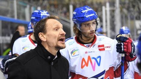 Die Adler Mannheim sind gut in Form - aber Ingolstadt auch