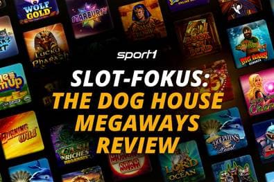 The Dog House Megaways Slot Review: Legal in Deutschland spielen!
