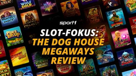 The Dog House Megaways Review 2026