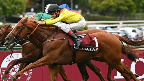 Torquator Tasso landete in Ascot auf Platz zwei