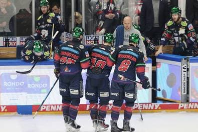 Eisbären wieder im Verletzungspech