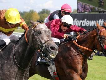 "In welch einer kranken Welt leben wir?"