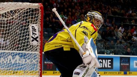 Eishockey, DEL: Sieben Profis verlassen Krefeld Pinguine, Torhüter Patrick Klein wird die Krefeld Pinguine verlassen
