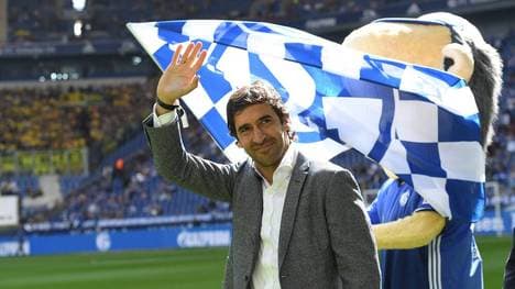 Zwischen 2010 und 2012 lief Raúl für den FC Schalke 04 auf