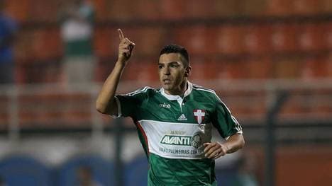 Palmeiras v Vitoria - Brasileirao Series A 2014