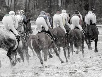 Reit-Horror: Zwei Jockeys sterben nach Stürzen