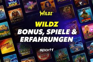 Wildz  Erfahrungen 2025 | Bonus & Spiele im Test