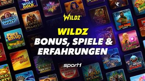 Wildz Erfahrungen