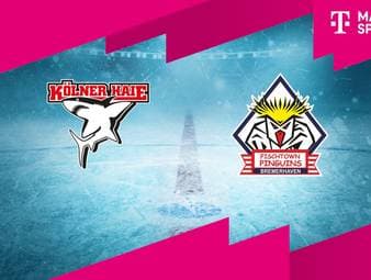 Kölner Haie - Pinguins Bremerhaven: Tore und Highlights | PENNY DEL