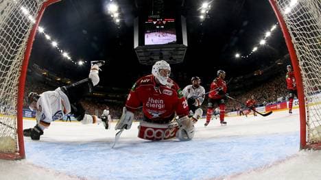 Die Kölner Haie scheiterten in den Playoffs an Wolfsburg