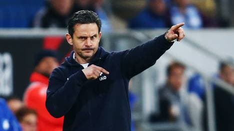 1899 Hoffenheim v SV Darmstadt 98 - Bundesliga