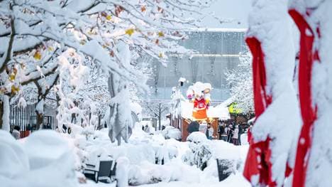 Winter-Chaos in Bayern 