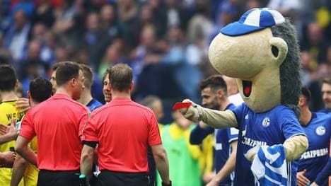 Erwin muss nach seiner Roten Karte zunächst keine Konsequenzen befürchten