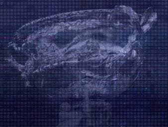 Alexander Zverev, Carlos Alcaraz, Jannik Sinner und Novak Djokovic kämpfen um die beiden Final-Tickets bei den Australian Open.