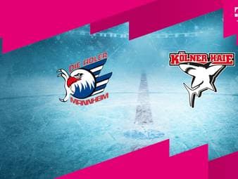 Adler Mannheim - Kölner Haie: Tore und Highlights | PENNY DEL